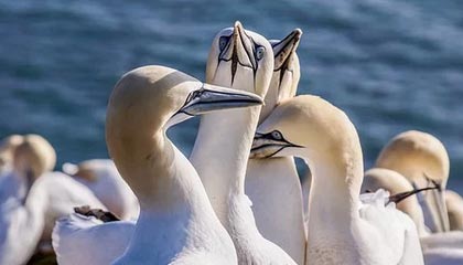 九州平台|青少年体育赛事v4.3.8