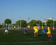 包含多特蒙德前锋独中两元，助球队击败对手的词条